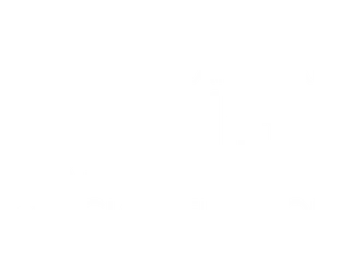 Festival laurel